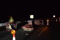 Kuriózny prípad! Policajti ratovali sliepky, ktoré z kamióna vypadli na diaľnicu