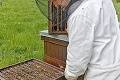 Americkým vedcom zachutil bardejovský med: Zaradili ho medzi 30 najlepších na svete!