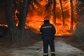 Európu sužuje vlna ničivých požiarov, spôsobili obrovské škody: Tisíce hektárov lesov ľahli popolom