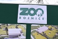 Nový roztomilý prírastok v zoo Bojnice: Malá Jahoda robí návštevníkom obrovskú radosť!
