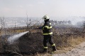 Bratislavčania, pozor: Vypukli požiare, mestská časť má pre ľudí dôležitú výzvu