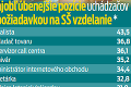 Po čom túžia Slováci? Toto sú najobľúbenejšie pracovné pozície, niektoré možno ani nepoznáte!