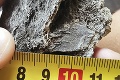 Mladý milovník skamenelín Samuel (16) natrafil v Santovke na unikát: V kúpeľoch objavil túto vzácnu fosíliu!