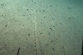 Šokujúci objav na dne oceánu: Vedci si nevedia vysvetliť to, čo tam našli