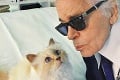 Mačka po Karlovi Lagerfeldovi († 85) míňa dedičstvo vo veľkom: Prepych, aký si bežný smrteľník nemôže dovoliť