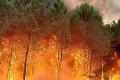 Európu už 2 mesiace sužujú rozsiahle požiare: Doposiaľ bolo spálené rekordné množstvo lesov