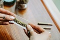 Ďalšia európska krajina je o krok bližšie k legalizácii marihuany: Začína testovať jej predaj