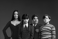Rodina Addamsovcov v novom šate: Pozrite, kto si zahrá Morticiu! Ide o herecký sexsymbol