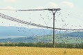 Tisícky drozdov sa zhromažďujú na tatranských drôtoch: Odlietajú za teplom a ničia úrodu obilia!