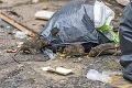 Nečakaný problém v rozpálených uliciach Bratislavy: Smrad z bioodpadu vábi hlodavce!
