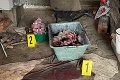 Obluda v ľudskej koži: Muž zabil a rozporcioval viacerých psov! Miesto činu vyzeralo ako z hororového filmu