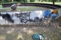 Sprejovanie v bratislavskom parku sa mu vypomstilo: Muž chcel uniknúť, teraz mu hrozí basa