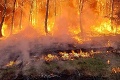 Americký štát je v plameňoch: Oheň sa nebezpečne šíri, evakuovali tisíce obyvateľov