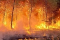 Príroda opäť ukázala svoju silu: Lesné požiare si vyžiadali životy dvoch ľudí