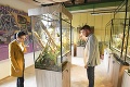 Zoo Košice otvorila nové centrum pre vzdelávanie: Kedy ho sprístupnia verejnosti?