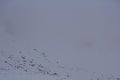Pozrite si krásu na fotkách: Tatranské štíty zahalila snehová prikrývka! SHMÚ varuje aj pred mrazom