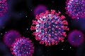 Koniec pandémie koronavírusu by mohol byť na dohľad: V Európe sa, na rozdiel od USA, ešte nekončí