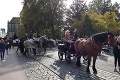 Jazdci Hubertovej jazdy v Košiciach si majestátne zvieratá zamilovali od kolísky: Ešte nevedeli chodiť a už sedeli na konskom chrbte