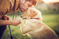 Medzi fenkami a psami je jeden významný rozdiel: Nebude vám jedno, koho máte doma! Vedci odhalili prekvapivý fakt