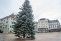 Na námestí v Bratislave už osadili vianočný stromček: Čo vieme o 40-ročnom krásavcovi?