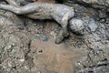 Perfektný objav archeológov: Na prvý pohľad vedeli, že našli hotový poklad
