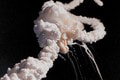 Raketoplán Challenger vybuchol pri štarte pred 37 rokmi: Neuveríte, čo sa podarilo po rokoch nájsť!
