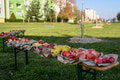 Na Slovensku je prvým svojho druhu: Unikátny sad v Topoľčanoch ponúkne vzácne staré odrody ovocia!