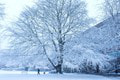 Milovníci bielej zimy sa môžu začať tešiť: Miestami môže napadnúť aj 10 centimetrov snehu!