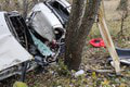 Autom napálili do stromu: Strašnú zrážku neprežil vodič († 31) ani spolujazdec († 21)