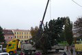 Prešov už zdobí vianočný stromček, od výrubu po inštaláciu prešli tri hodiny: Kto mestu daroval 15-metrový smrek?