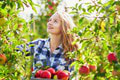 Najstaršia ovocná farma na Slovensku ukončila samozber jabĺk: Tak enormný záujem nečakali!