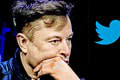 Musk sa ako nový majiteľ Twitteru opäť vyznamenal: Odblokoval účet poslankyne šíriacej hoaxy