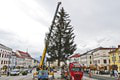 Tohtoročný symbol Vianoc má už aj Banská Bystrica: Stromček na námestie prichystali za 6 hodín!