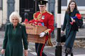 Krásne gesto britskej kráľovskej rodiny: Paddingtonovia venovaní Alžbete II. († 96) našli nový domov!