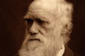 V New Yorku dražia výnimočný rukopis Charlesa Darwina: Padne rekord? Ide o celý majland