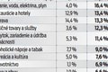 Inflácia prekročila 15 %! Čo na Slovensku najviac zdraželo? Analytici: Na toto sa musíme pripraviť