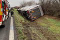 Mimoriadna správa: Na diaľnici D1 v smere do Bratislavy sa prevrátil kamión s býkmi