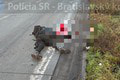 Desivý nález polície na diaľnici D2: Na vozovke ležala osoba bez známok života!