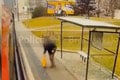 Dôchodca prišiel o život pod kolesami autobusu: Mrazivé zábery z bratislavskej zastávky!