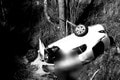Smrteľná autonehoda neďaleko Kremnice: Vodič spadol do rokliny z obrovskej výšky!