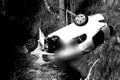 Vodič našiel smrť v Kremnických Baniach: Pád do 25-metrovej rokliny nemal šancu prežiť! Desivý záber