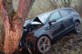 Škaredá nehoda na východe: Vodič napálil priamo do stromu! Ako došlo k nešťastiu?