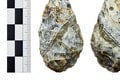 Jedinečný nález amatérskeho slovenského paleontológa Dominiqua: Kde objavil kraby staré milióny rokov?!