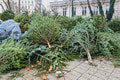 Neuveriteľný počet vyzbieraných vianočných stromčekov v Bratislave: Ozdoba sviatkov bude mať ušľachtilý účel!