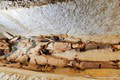 V Sakkáre našli sarkofág, ktorý nikto neotvoril 4 300 rokov: Ide o najstaršiu múmiu v Egypte!