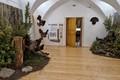 V Drevárskom a lesníckom múzeu vo Zvolene predstavili jedinečnú výstavu: Toto sa návštevníci dozvedia o pýche našich lesov!