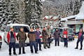 Dobrovoľníci z celého sveta sa vydali do Dúbravskej doliny: Ako sme počítali vlky na Liptove! Ich výsledky vás prekvapia