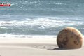 Na pláži sa objavila záhadná guľa, ľudí okamžite evakuovali: Už sa vie, o aký objekt vlastne ide