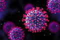 Desiatky vzoriek odpadových vôd a všetky pozitívne: Kde stúpla nálož nového koronavírusu?
