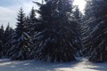 Výstup na ľadom pokrytý vrch Šíp sa pre turistku Ivanu stal nezabudnuteľným: Pozrite, ako tam matka príroda čarovala!